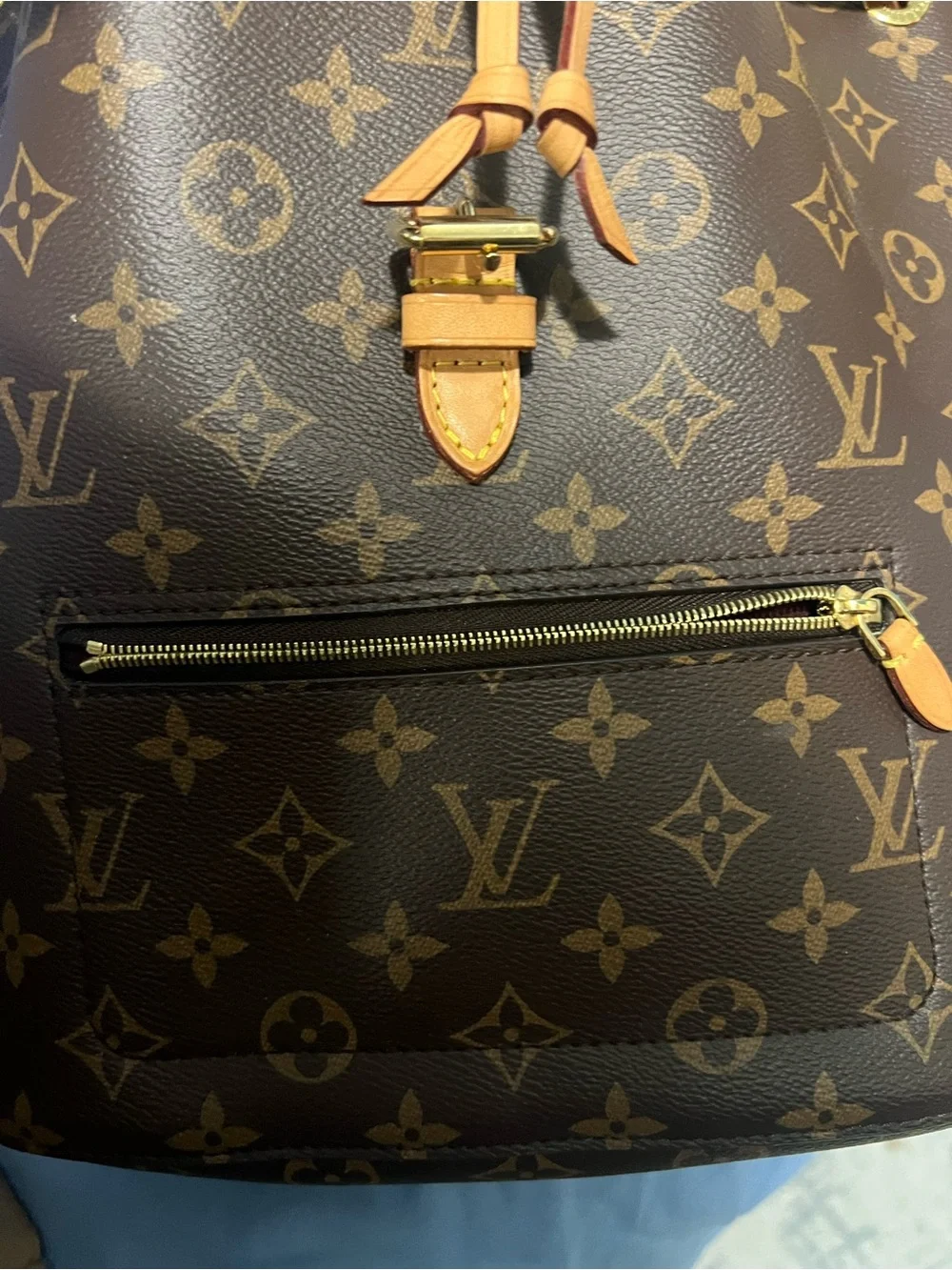 Louis Vuitton signature louis